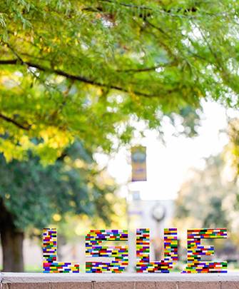 lsue-lego-art