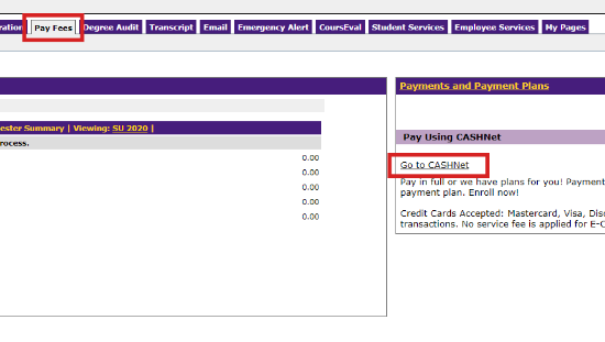 pay fees tab