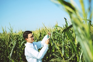 Certified Crop Advisor Pathway