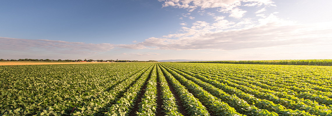 Sustaining Future Farms in Louisiana