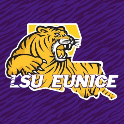 LSUE Logo