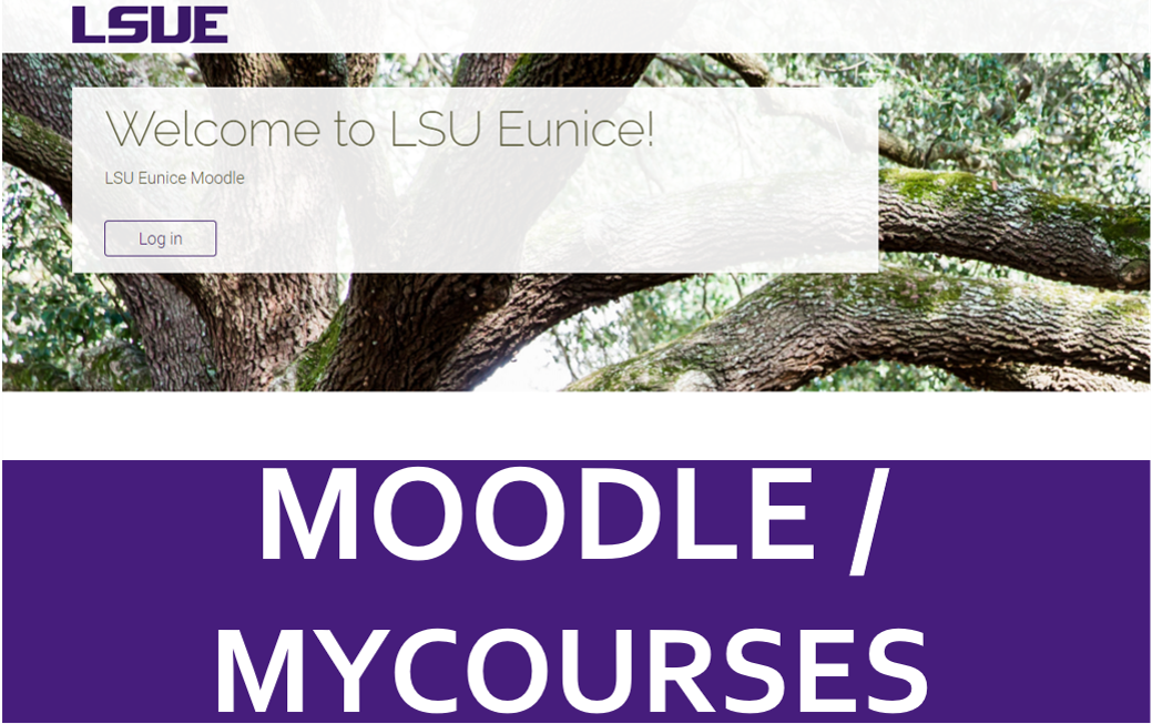 myCourses / Moodle